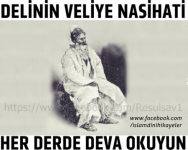 Devamını oku: Delinin Veliye Nasihatı